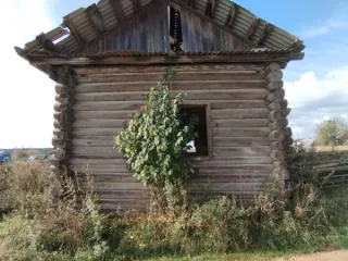Бревенчатый дом, складское помещение, назначение: нежилое, этажей 1, в том числе подземных 0, общей площадью 56,9 кв.м, кадастровый номер: 59:37:0240101:562, адрес: Российская Федерация, Пермский край, городской округ город Березники, село Щекино, улица Пролетарская, дом 20,  с земельным участком…