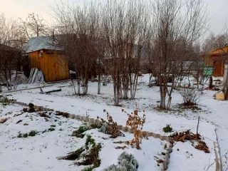 1/2 доли в праве долевой собственности на земельный участок площадью 428 кв.м, категория земель – земли сельскохозяйственного назначения, разрешенное использование – для садоводства и огородничества, кадастровый номер 72:17:0106001:506, адрес Тюменская обл., р-н Тюменский, со Дружбы, участок №488 с…
