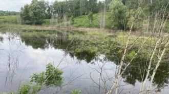Земельный участок в Оренбургской обл., 103001 кв.м. Кадастровый номер земельного участка: 56:33:0906005:24 Адрес (местонахождение): Оренбургская обл., Тюльганский район, Репьевский с/с, участок расположен в западной части кадастрового квартала 56:33:0906005 Общая площадь: 103 001, Уточненная…