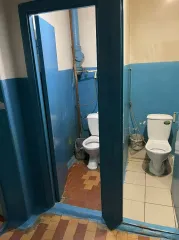 1/4 доли жилого помещения, 12.8 кв.м, Брянская обл, г Брянск, назначение: жилое, этаж: 2, адрес: Брянская обл, г Брянск, Бежицкий р-н, ул Почтовая, д 110 к 85, кадастровый номер: 32:28:0011703:1275. Обращаю внимание, что доля представляет собой комнату в общежитии: душ общий, кухня общая, туалет…