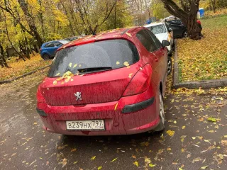 Peugeot 308 2009 года выпуска, VIN VF34C5FWFAS010551. Осмотр автомобиля возможен по адресу: г. Москва, ул. Народного ополчения, д. 37, к. 1. Дополнительная информация по телефону: +7 (926) 246-62-68 в рабочие дни с 11:00 до 14:00 или по электронной почте: arb.torgi68@gmail.com.