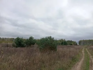 Земельный участок в Татарстане, 35 700 кв.м, кадастровый номер: 16:20:041101:329