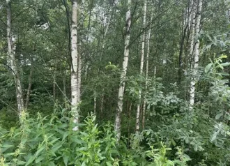 Земельный участок 894 кв.м, КН 50:19:0040501:2155, Московская область. Площадь: 894. Кадастровый номер: 50:19:0040501:2155. Основной вид разрешенного использования: 2.2.