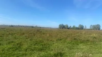 Аренда земельного участка из земель населённых пунктов площадью 1204 кв.м (кадастровый номер 38:06:100401:1104, адрес:  Российская Федерация, Иркутская область, Иркутский муниципальный район, Хомутовское сельское поселение, деревня Талька, переулок Байкальский, земельный участок 7). земельный…