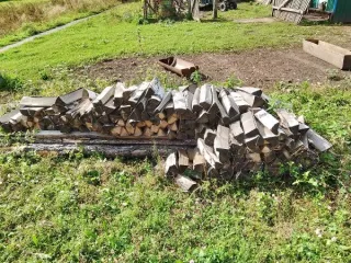 Древесина: бревна и сортименты сосна ель береза. Бревно, диаметр 67 см, дерево породы сосна. Бревно, диаметр 65 см, дерево породы сосна. Бревно, диаметр 60 см, дерево породы сосна. Дерево породы сосна, диаметром 19 см. Дерево породы ель, диаметром 11,5 см. Бревна различной породы. Сортименты…