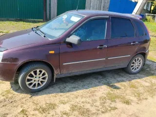 Lada Kalina 2012 года, 81 лс, 219300 км, модель 111930 Лада Калина, VIN XTA111930C0201970, г/н В309МУ45. Принадлежит должнику на праве общей совместной собственности с супругой.