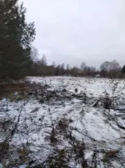 Земельный участок с кадастровым номером 67:22:0210101:35, общей площадью 20700 кв.м., расположенный по адресу: Смоленская область, р-н. Хиславичский, д. Слобода (Упинский с/о), Упинское.