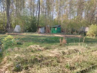 Земельный участок, площадь 400 +/- 7 кв.м., адрес: Калужская обл., г. Калуга, ул. Лесная, СНТ "Березка", уч. 519, кадастровый номер: 40:22:151801:450. Категория земель: земли населенных пунктов. Виды разрешенного использования: для садоводства. Здание, площадь 35 кв.м., назначение: нежилое, адрес…
