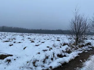 Земельный участок площадью 31.8 га (318020 кв. м), кадастровый номер 60:23:0090216:227. Местоположение: Псковская обл., Струго-Красненский р-н, СП «Новосельская волость», 50 м юго-восточнее д. Красная Горка. Категория земель – земли сельскохозяйственного назначения. Вид разрешенного использования –…