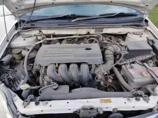Toyota Corolla 2000 года выпуска, цвет белый. Государственный номер Р102АТ04. Двигатель № 1ZZ0622290. Кузов № ZZE122-0001608. Отсутствует бампер. VIN и номер шасси отсутствуют.