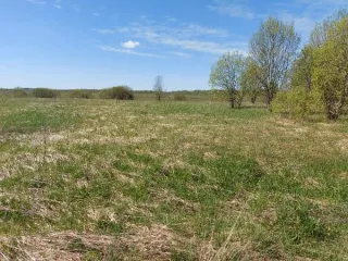 Лот № 1. Земельный участок площадью 635±9 кв. м, кадастровый номер 60:18:0112401:237. Местоположение установлено относительно ориентираЮ расположенного в границах участка. Почтовый адрес ориентира: Псковская область, Псковский район, СП «Логозовская волость», д. Тупы. Категория земель - земли…