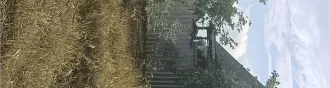 Земельный участок с кадастровым номером 72:01:0104001:594, площадью 493 +/  16 кв. м, расположенный по адресу: Тюменская область, Абатский район, территория СНТ «Строитель», ул. № 7, участок 18, с расположенным на нем кирпичным строением  дачный дом  площадью 16 кв. м. Земельный участок с…