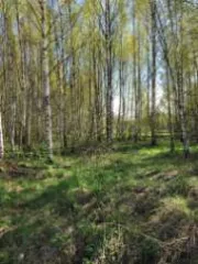 Земельный участок, 76:09:093401:2330, Ярославская обл., Некрасовский р-н, с/о Климовский, д. Климовское, тер с/х земля Климовское, 1940 +/-31 кв.м.