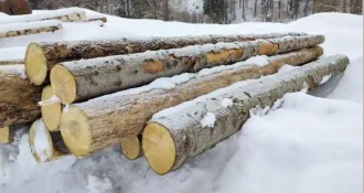 4 хлыста сухостойных деревьев породы ель. Местонахождение: Удмуртская Республика, Шарканский район, ул. Садовая, 17-1. Реализация в качестве годных остатков (дров) (Ув. №650 от 15.12.2025 г.). Имущество продается в том виде, комплектности и состоянии, в каком оно есть у Продавца. За скрытые дефекты…