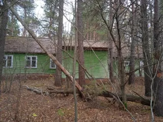 Земельный участок 1613 кв.м с лабораторным корпусом 196,7 кв.м. Кадастровый номер 29:14:050302:1056 (реестровый номер федерального имущества П11310006597), категория земель – земли населенных пунктов, вид разрешенного использования – для общественно-деловых целей, с расположенным на нем объектом…