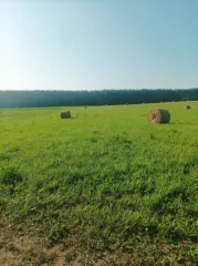 Земельный участок 7000 кв.м Респ Марий Эл, площадь 7000 кв.м, категория земель: земли населенных пунктов, разрешенное использование: для ведения личного подсобного хозяйства, адрес: Россия, Респ Марий Эл, р-н Новоторъяльский, д Ноли Кукмарь, ул Ноли Кукмарь, дом 25, кадастровый номер…