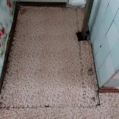 1/4 доля квартиры, 67 кв.м, Свердловская область, Тугулымский р-н, п. Юшала. Помещение, вид права, доля в праве: общая долевая собственность, доля в праве 1/4, назначение: жилое, площадью 67 кв.м., местонахождение: Свердловская область, р-н. Тугулымский, п. Юшала, ул. Мира, д. 11, кв. 1…