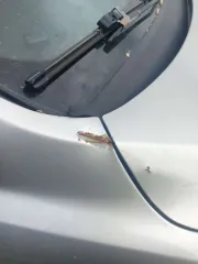 Ford Focus 2007 года. VIN: WF05XXGCD57U72908. Категория B. Двигатель: SHDA 7U72908. ПТС 77 ТУ 400955. Имущество в залоге.