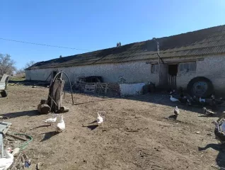 Здание кад. № 26:09:020901:8, пл. 1488.60 кв. м. по адресу СК, Туркменский район, с. Камбулат, МТФ №2.