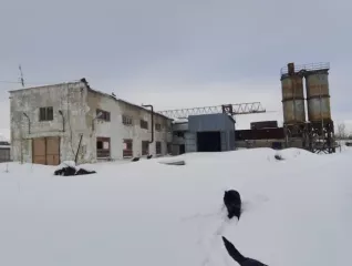 Комплекс «Снежная» 
Земельный участок, 49:09:032110:93; Площадь уточненная 7 848 кв. м Магаданская обл., г. Магадан, микрорайон Снежный, 
Земельный участок, 49:09:032110:95; Площадь уточненная 1 872 кв. м Магаданская обл., г. Магадан, микрорайон Снежный, 
Земельный участок, 49:09:032110:96…