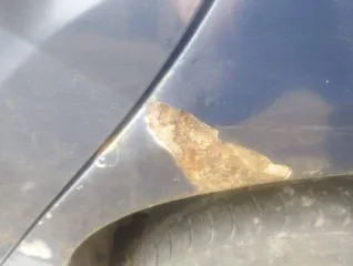 Автомобиль FORD FOCUS, идентификационный номер  VIN  X9FMXXEEBMCA78456, 2012 года выпуска
