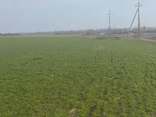Земельный участок - 100 000 +/- 2 767 кв. м, кадастровый номер 33:05:024102:469, земли сельскохозяйственного назначения - для сельскохозяйственного производства, 
Ограничения и обременения: постановление Губернатора Владимирской области от 12.04.2010 № 433 «Об утверждении границ зон охраны…