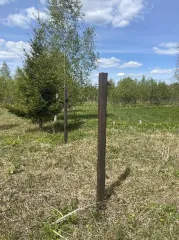 Земельные участки, 52 310 кв. м, Ярославская обл., Переславский р-н, ДНП «Союз дачников» (16 поз.) - 52 310 +/- 162 кв. м, адрес: Ярославская обл., Переславский р-н, с/о Глебовский, вблизи дер. Большое Пальцино, земли сельскохозяйственного назначения - для ведения дачного хозяйства.