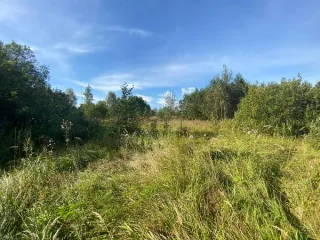 Продажа земельного участка 1 158 кв.м. для ЛПХ в м.о. Истра (КН 50:08:0080317:1214) Площадь земельного участка: 1158 Кадастровый номер земельного участка: 50:08:0080317:1214 Вид разрешённого использования земельного участка: 2.2