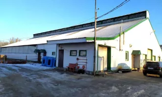 КРС 140 ед., в т.ч. коровы в кол-ве 100 голов, телки в кол-ве 40 голов. Имущество расположено по адресу: РМ, р-н. Ельниковский, д. Мельсяны, ул. А.Пиксаева, д. 44.