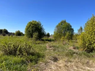 Земельный участок площадью 1891389 кв.м., кад. № 12:03:0202001:73, расположенный по адресу: РМЭ, Килемарский район, в восточной части кад.квартала №12:03:0202001 Вид разрешённого использования земельного участка: 1.0