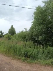 Земельный участок 692 кв.м, кадастровый номер 50:09:0020502:1183, Московская область, основной вид разрешенного использования: 13.2