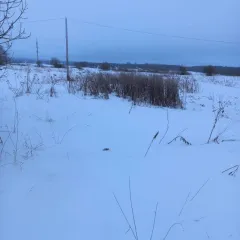 Земельный участок 3283 кв.м, кадастровый номер: 35:23:0202013:138, для ведения личного подсобного хозяйства, площадь 3283 +/- 20, местоположение Вологодская область, Чаромский р-н Шекснинский, сельсовет, с. Чаромское, общая долевая собственность, 1\2 доля в праве, дата и номер государственной…