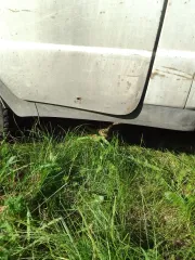 Грузовой бортовой автомобиль ГАЗ-3302, идентификационный номер (VIN) ХТН33020021856870, 2002 г.в.