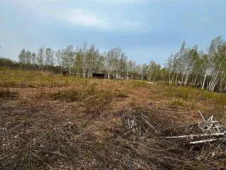 Земельный участок 1000 кв.м, Хабаровский край, расположенный по адресу: Хабаровский край, р-н Хабаровский, категория земель - земли сельскохозяйственного назначения, вид разрешенного использования - для ведения дачного хозяйства и организации застройки дачного некоммерческого товарищества, площадь…