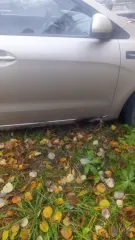 Kia Rio 2012 года выпуска, VIN Z94CB51BADR009572, цвет бежевый, не на ходу (глохнет двигатель).