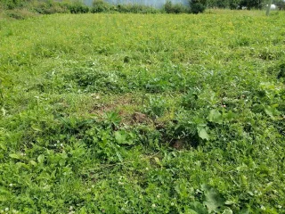 Земельный участок площадью 600 кв.м. Кадастровый номер 35:25:07:06013:1986. Расположен в Вологодской области, Вологодский район, поселок Надеево.