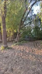 Земельный участок, площадью 10000 кв.м., кадастровый номер: 64:08:020805:240, расположенный по адресу: Российская Федерация, Саратовская область, муниципальный район Вольский, сельское поселение Терсинское, остров Пустынный, земельный участок 1. Категория земель: земли особо охраняемых территорий и…