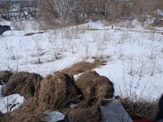 Доли дома 55 кв.м и участка 2691 кв.м, Сузунский район, с. Бобровка, Новосибирская обл. 1/7 доля дома и 1/7 доля земельного участка в Новосибирской обл. еще 1/7 доля дома и 1/7 доля земельного участка в Новосибирской обл. еще 1/7 доли в праве на земельный участок, общей площадью 2691 кв.м., с…