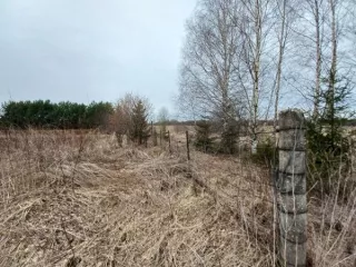 Граждане, заинтересованные в предоставлении земельного участка с кадастровым №50:05:0020507:570, площадью 581 кв.м, категория земель: земли населенных пунктов, вид разрешенного использования: для индивидуального жилищного строительства, местоположение: Российская Федерация, Московская область…