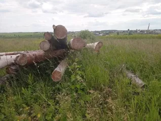 Древесина в виде хлыстов деревьев породы ель, сосна, общим объемом 10,346 куб.м. в виде хлыстов сырорастущих деревьев породы ель, 4 шт., объемом 3,751 куб.м.; в виде хлыстов сухостойных деревьев породы ель, 7 шт., объемом 4,932 куб.м.; в виде хлыстов сломленного дерева породы сосна, 1 шт., объемом…