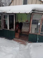 Земельный участок 988 кв. м в Красноярском крае, Березовский район, СНТ "Эласт", улица Зеленая, участок 65. Кадастровый номер 24:04:0513001:2601. На участке расположены нежилые строения.