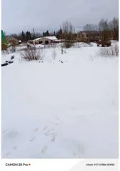1/5 доли земельного участка 1157 кв.м, Ижма, Республика Коми 1/5 доля земельного участка в Коми еще 1/5 доля земельного участка в Коми еще 1/5 доля в праве на земельный участок, площадь: 1 157 кв.м., адрес (местонахождение): Российская Федерация, Республика Коми, м.р-н Ижемский, с.п. Ижма, с Ижма…