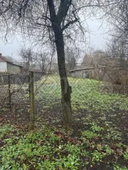 Квартира 44,6 кв.м. и земельный участок 1120 кв.м. в Курской области. 1. Квартира, площадь: 44,6 кв.м., назначение: жилое, этаж: 1, адрес (местонахождение): Курская область, Золотухинский район, п. Золотухино, пер. Лесной, д. 4, кв. 1, кадастровый номер: 46:07:010101:1241. Краткое описание объекта…