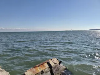 Комплекс из 11 и одноэтажных нежилых зданий в неудовлетворительном состоянии и 1 го сооружения общей площадью 2 521,10 кв.м.  кад.№ 90:19:010113:26693, 379,8 кв.м., склад  кад.№ 90:19:010113:367, 207 кв.м., мастерские гараж  кад.№ 90:19:010113:368, 135,2 кв.м., механические мастерские  кад.№…