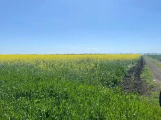 1/6 доля земельного участка (для организации крестьянского (фермерского) хозяйства), площадь 55 801 кв.м., кадастровый номер 23:16:0301009:66. Местонахождение: Краснодарский край, Курганинский р-н, ориентир КФК «Чипигин В.В.», бывшие земли АСХО «Северное», отделение 3, поле 3. 533 000 руб., задаток…
