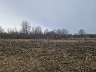Земельный участок с кадастровым номером 69:10:0000037:1691, площадью 1 077 кв.м., местоположение: Тверская область, Калининский район, Верхневолжское с/п, с.Петровское.