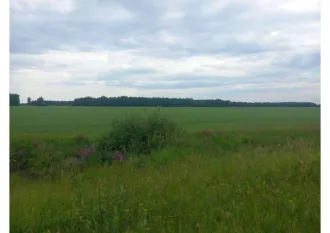 Земельный участок 8 358 598 кв.м Курганская обл 4/293 доля в праве на земельный участок, площадь: 8 358 598 кв.м., адрес (местонахождение): Курганская обл, р-н Юргамышский, в границах земель ТОО "Авангард", в южной части кадастрового района, категория земель: Земли сельскохозяйственного назначения…