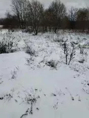 Здание (гараж), нежилое помещение, принадлежащее заявителю на праве собственности, с кадастровым номером: 40:22:083101:239, площадью: 93,8 кв.м., Находится в совместной собственности
Расположенное по адресу: 249800, Калужская обл., Ферзиковский р-н, Хомяковский с/с, с. Ферзиково, д. 44
