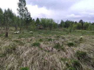 Земельный участок в Татарстане, 600 кв.м., расположенный по адресу: Россия, Республика Татарстан, Верхнеуслонский муниципальный район, Набережно-Морквашское сельское поселение, "Родник" СНТ, д.б/н, с кадастровым номером: 16:15:121401:453, площадью 600 кв.м. Является предметом залога ПАО "Sberbank"…