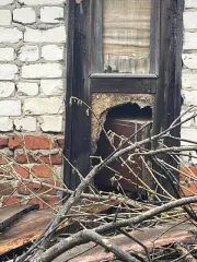 Гаражи 27,3 кв.м с земельными участками 30 кв.м, Рязанская область. Гараж 27,3 кв.м. и земельный участок 30 кв.м. в Рязанской обл. еще Гараж 27,3 кв.м. и земельный участок 30 кв.м. в Рязанской обл. еще сооружение (гараж) по адресу: Рязанская обл., муниципальный округ Кадомский, рабочий поселок…